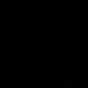 Meet your Posher, Shelly